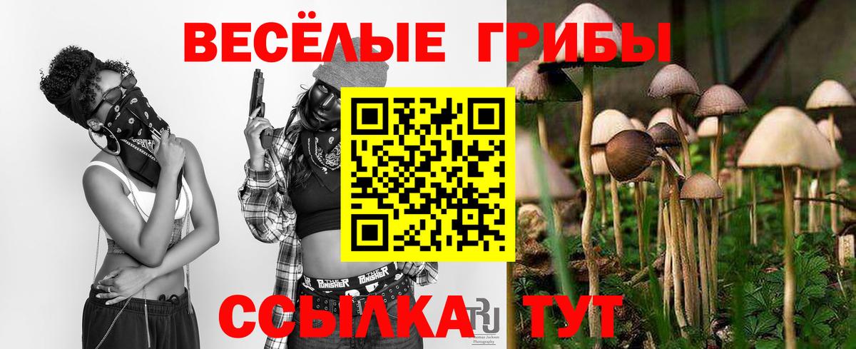 Галлюциногенные грибы мухоморы  Галлюциногенные грибы Psilocybine cubensis  Гулькевичи  где купить наркоту  Вход с VPN 