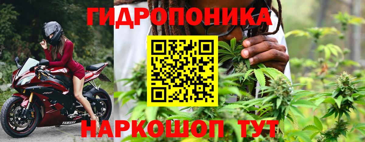 Шишки марихуана конопля Гулькевичи